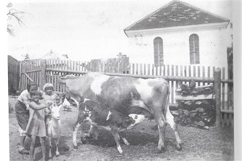 Převzato z knihy: Chmelenský, Michal. Židovské komunity na Sušicku. 1. vyd. V Plzni: Západočeské muzeum, 2013.